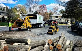 Best Hedge Trimming  in Colchester, IL